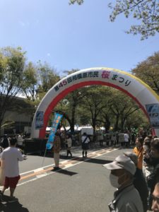 相模原市民桜まつり